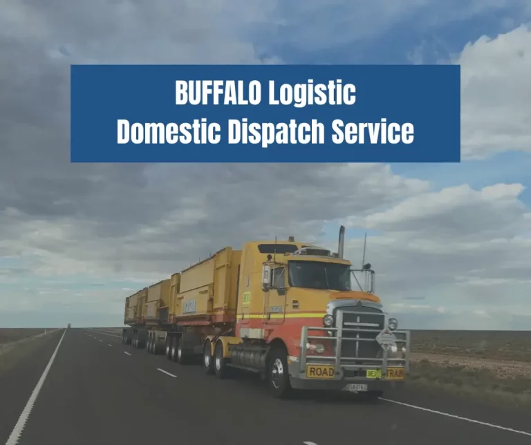 BUFFALO Logistic Domestic Dispatch Service